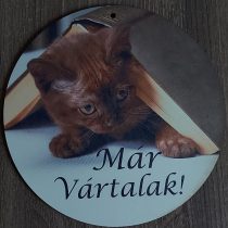 Már vártalak cicás