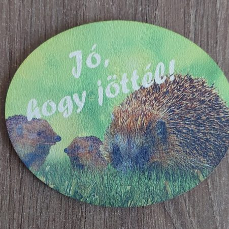 Jó ,hogy jöttél 